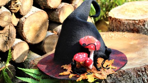 "Witch" hat